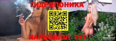 a pvp Свободный