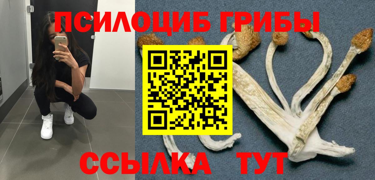 Галлюциногенные грибы мицелий Владивосток